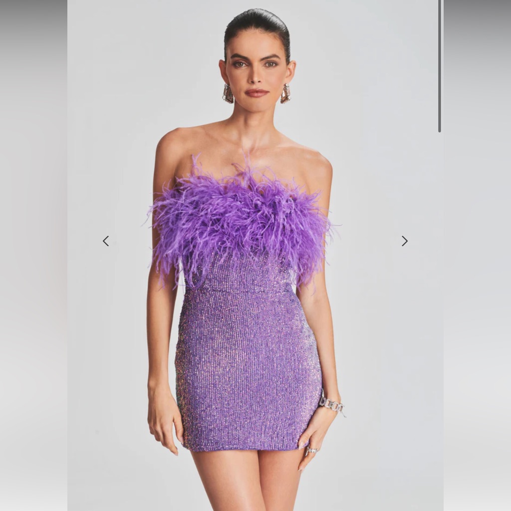 Retrofete Torin Sequin Feather Dress Nwt